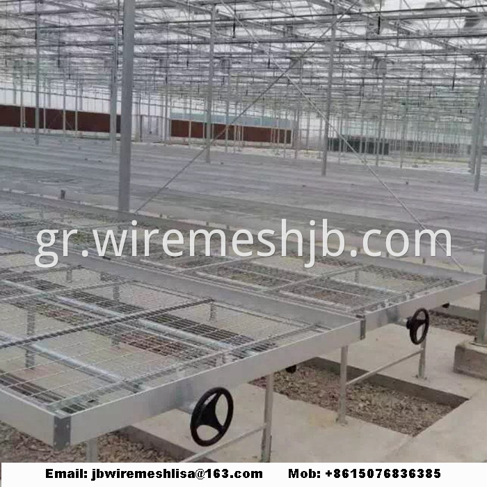 Galvanized Welded Wire Mesh Greenhouse Rolling Benches